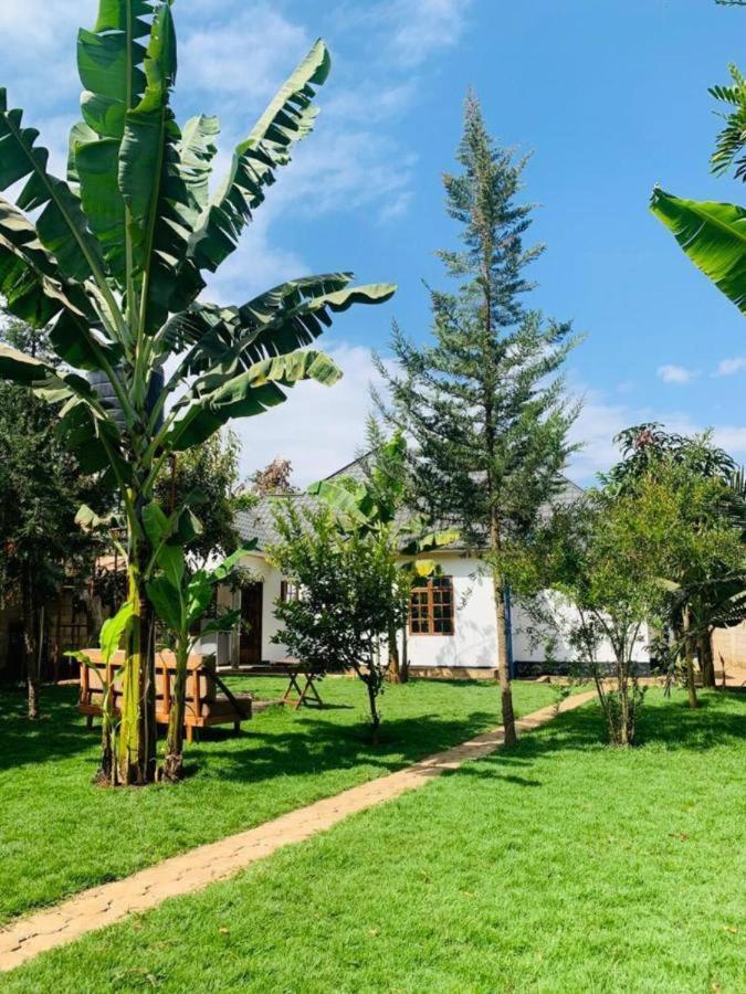 Kimya Homestay Nkoanrua Exterior foto
